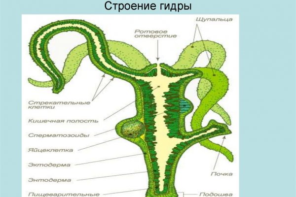 Не работает ссылка омг