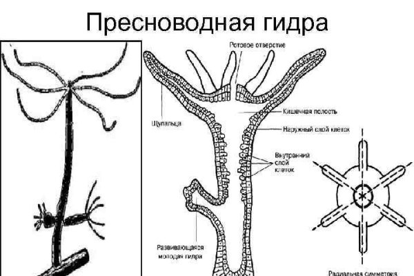 Omg аналог гидры