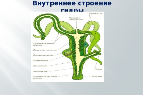 Почему не заходит на mega на тор