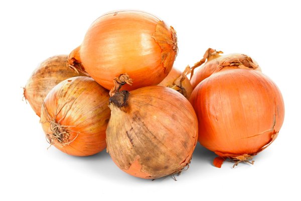 BlackSprutruzxpnew4af onion com tor